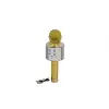 EMR-101 KUTULU KARAOKE MİKROFON