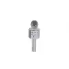 EMR-101 KUTULU KARAOKE MİKROFON