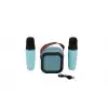 EMR-102 KUTULU 2Lİ KARAOKE MİKROFON