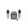 EMR-102 KUTULU 2Lİ KARAOKE MİKROFON