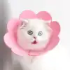 Evcil Hayvan M Boy Keçe Elizabeth Yakalığı