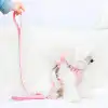 Evcil Hayvan Peluş Ayıcıklı Göğüs Gezdirme Tasması Set