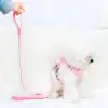 Evcil Hayvan Peluş Ayıcıklı Göğüs Gezdirme Tasması Set