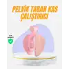 Evde Kullanıma Uygun Uyluk Kalça ve Pelvik Egzersiz Aleti