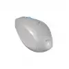 EVEREST SMW-87 KABLOSUZ MOUSE