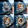 Fulcar Kedi Tasarımlı Araç Stickerı