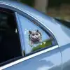 Fulcar Kedi Tasarımlı Araç Stickerı