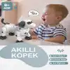 GL-777-602A U/K ŞIKLI VE SESLİ AKILLI ROBOT -VRD