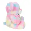 Gökkuşağı Renkli Peluş Ayı 45 cm