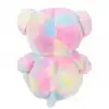 Gökkuşağı Renkli Peluş Ayı 45 cm