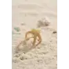 Gold Renk Deniz Yıldızı Model Kadın Yüzük