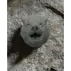 Gri Kurt Duvar Dekoru Asılabilir Dekoratif Heykel Tasarım