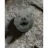 Gri Kurt Duvar Dekoru Asılabilir Dekoratif Heykel Tasarım