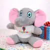 Happy Birthday Tişörtlü Sevimli Peluş Fil