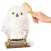 Harry Potter Büyüleyici Hedwig
