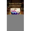 Harry Potter Koleksiyon Figür Seti 2li - Sürpriz Temalı Oyuncak