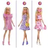 HXD58 Barbie ve Rüya Gardrobu