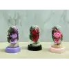 Işıklı Müzikli Romantik Fanus Tekli Gül