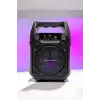 Kablosuz 6.5 İnç TWS Bluetooth Hoparlör