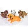 Kafa Salayan Köpek Aalk2620