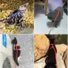 Kedi Boyun ve Göğüs Tasması