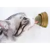 Kedi Otu Oyun Topu