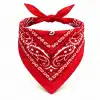 Kırmızı Kovboy Fuları Çocuk Bandana