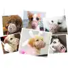Köpek Koruma Ağızlığı 7li Set