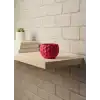 Küçük Boy Mor Saksı 5 Cm Şık Ve Minimal Dekoratif Tasarım