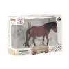 Kutulu Model Figür Hayvan At