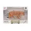 Kutulu Model Figür Hayvan Kurt Leopar