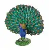 Kutulu Model Tavuskuşu