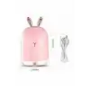 Led Işıklı Hava Nemlendirici Buhar Makinesi Dekoratif Aromaterapi