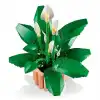 Botanicals Barış Çiçeği 11504