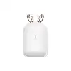 Lovely Humidifier Ortam Dezenfeksiyon ve Şık Buhar Makinesi