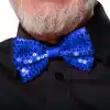 Mavi Payetli Pullu Papyon