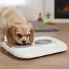 Mikopet Gri 2si 1 Arada Mama Ve Su Kabı