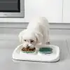 Mikopet Yeşil 2si 1 Arada Mama Ve Su Kabı