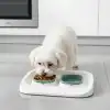 Mikopet Yeşil 2si 1 Arada Mama Ve Su Kabı