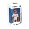 Minix Bellingham