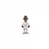 Minix Vincius