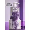 Silver Mor Şampuan 500 ML Absolute Professional