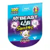 Mr. Beast Tekli Sürpriz Paket S3
