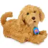 My Fuzzie Friends Sevimli Labrador Moji 18207