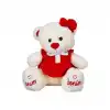 BX  8331 Canım Benim Elbiseli Peluş Ayı -Sunman