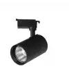 NOAS YL29 3107 Paris 30W Siyah Kasa Ray Spot 4000K
