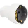 Topraklı Dişi Fiş