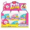 Pets Alive Yüzen Axolotl