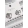 Pirinç Gümüş Renk Zirkon Taşlı Yonca Model Kadın Küpe