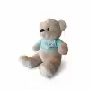 PL50149 40 CM ELBİSELİ AYI OYUNCAK PELUŞ